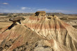 Bardenas Reales 21