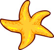 Starfish