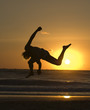 capoeira dancer capoeira dancer