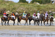 Chevaux sous les ordres