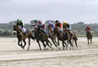 course galop 16
