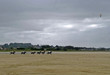 course galop 4