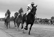 course galop 2