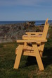 Two Chairs