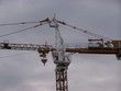 grue