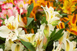 bouquet of beautiful multicolored flowers