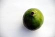 lime 2 lime 2