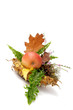 Autumnal leaves arragement