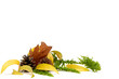 Autumnal leaves arragement
