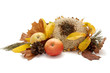Autumnal leaves arragement