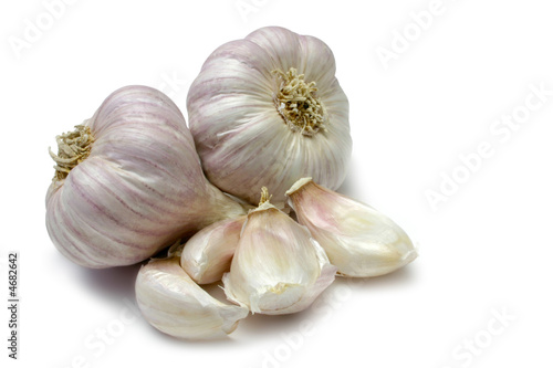 Purple Garlic Purple Garlic