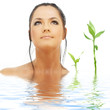 lovely brunette with bamboo in water lovely brunette with bamboo in water