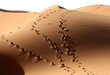 dunes
