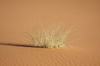 obstination 2