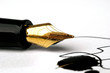 pen