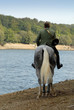 cavalier de chasse à courre au bord d'une rivière