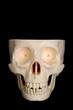 Funny Skull