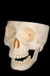 Funny Skull