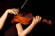 musician playing violin isolated on black