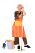 Cleaning housewife