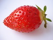Erdbeere