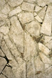 Mosaic from slices of a marble