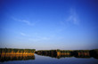 Neusiedlersee bei Rust