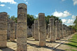 View of Thousand Columns in Mayan Runis View of Thousand Columns in Mayan Runis