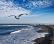 Coastal view