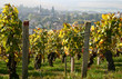Chablis grand cru