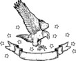 Eagle Banner