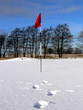 Winter Golf -Towards the Flag