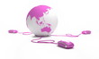 Asie communication rose 4