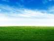 Green field
