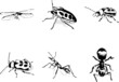 Bugs