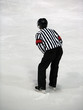 hockey referee