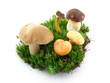 Fruits of nature
