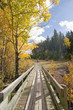 Autumn Fall Colors
