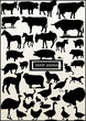 most of farm animal (vector)