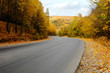 autumn road