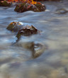 Rocks in a stream