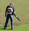 gardener
