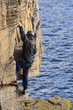 cliff climber