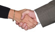 Male and female shaking hands