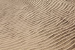 Sand ripples