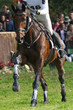 Photo: horse and rider following eventing track horse and rider following eventing track