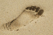 footprint on a sandy beach