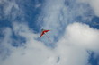 cerf volant 2