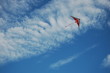 cerf volant 3