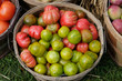 Heirloom tomatoes Heirloom tomatoes
